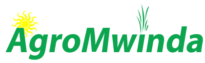 Agro Mwinda