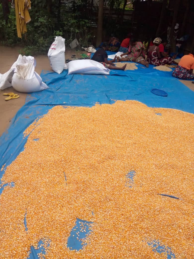 Fourniture des produits agricoles