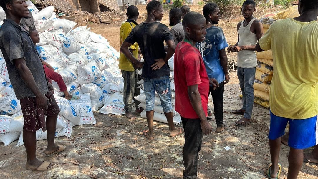 Fourniture de Kit FOOD et machines de transformation - Image 7