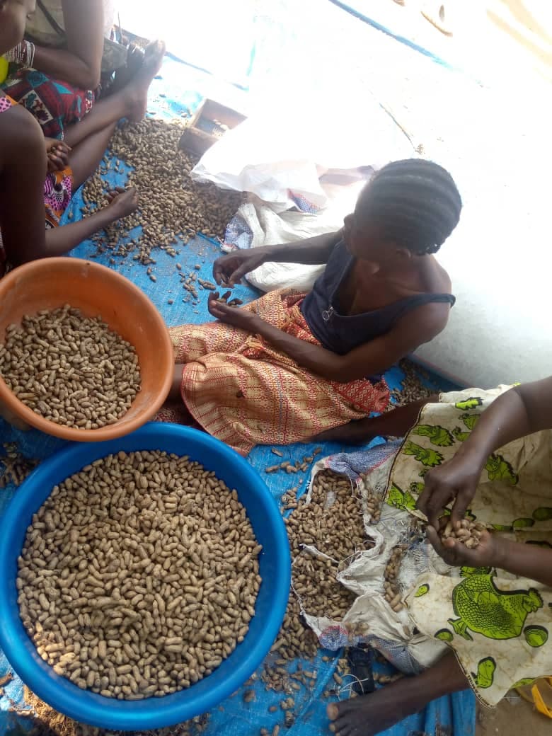 Fourniture des produits agricoles - Image 4