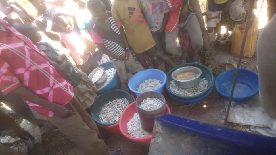 Fourniture de Kit FOOD et machines de transformation - Image 3