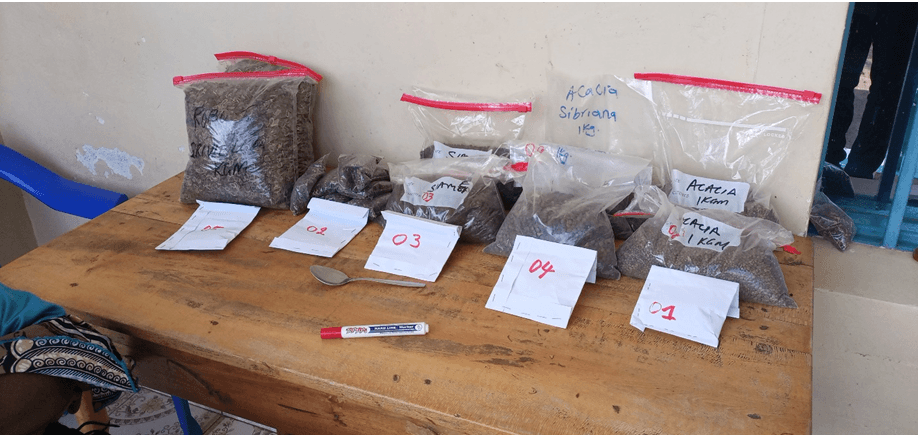 Fourniture de betails, semences et outils aratoires - Image 3