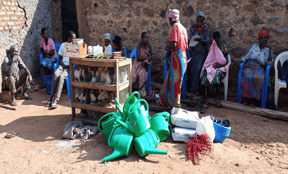 Fourniture de betails, semences et outils aratoires - Image 4