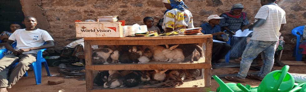 Fourniture de betails, semences et outils aratoires